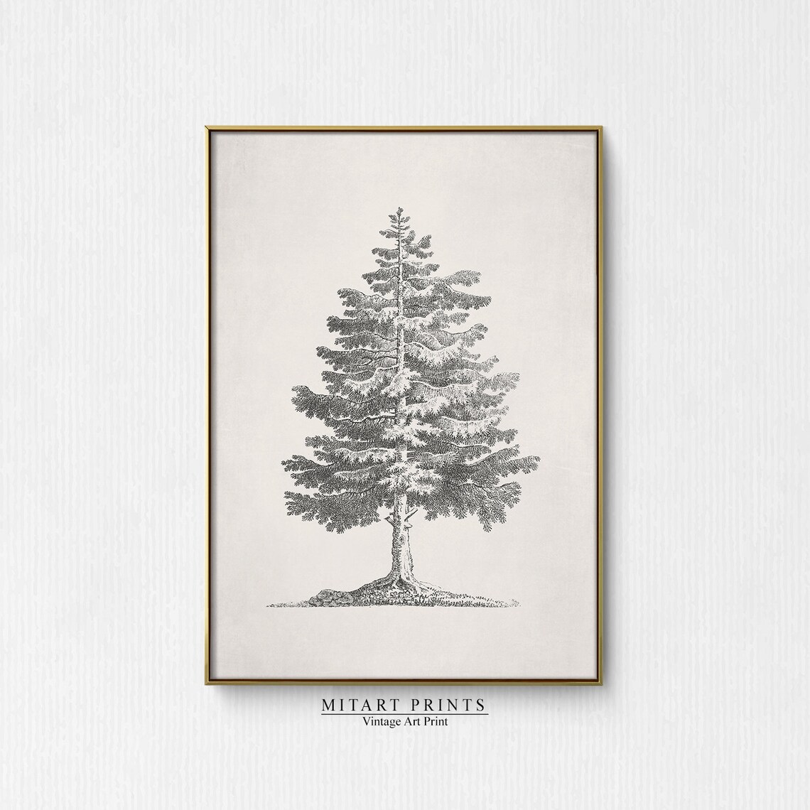 Vintage Pine Tree Christmas Tree Sketch Art Print