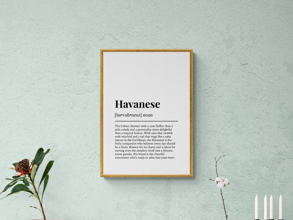 Havanese Funny Dictionary Definition Cheerful Dog Breed Gift Poster - Image 2