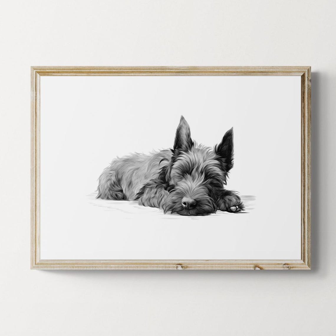 Scottish Terrier Sleeping Vintage Pencil Sketch Scottie Dog Wall Art
