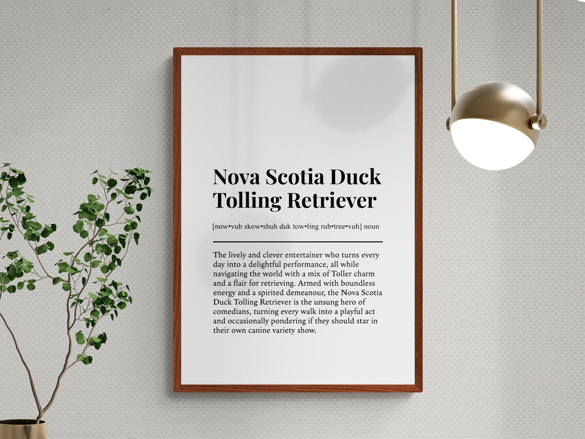 Nova Scotia Duck Tolling Retriever Funny Definition Art Print - Image 3