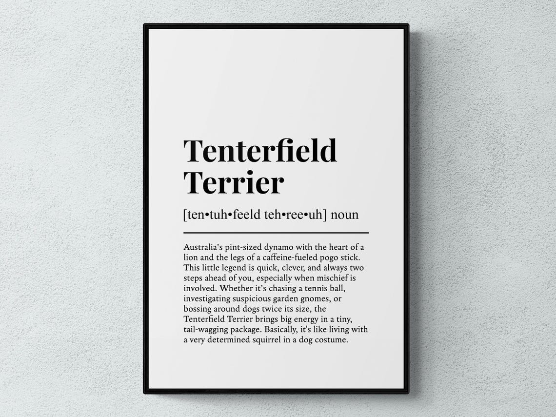 Tenterfield Terrier Funny Dictionary Definition Minimalist Dog Poster