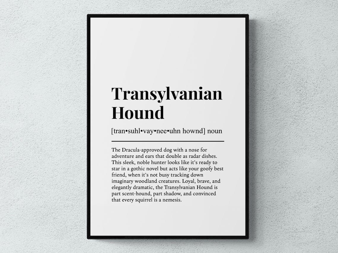 Transylvanian Hound Dictionary Definition Wall Art for Hound Lovers