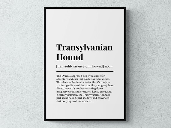 Transylvanian Hound Funny Definition Dog Wall Art Print
