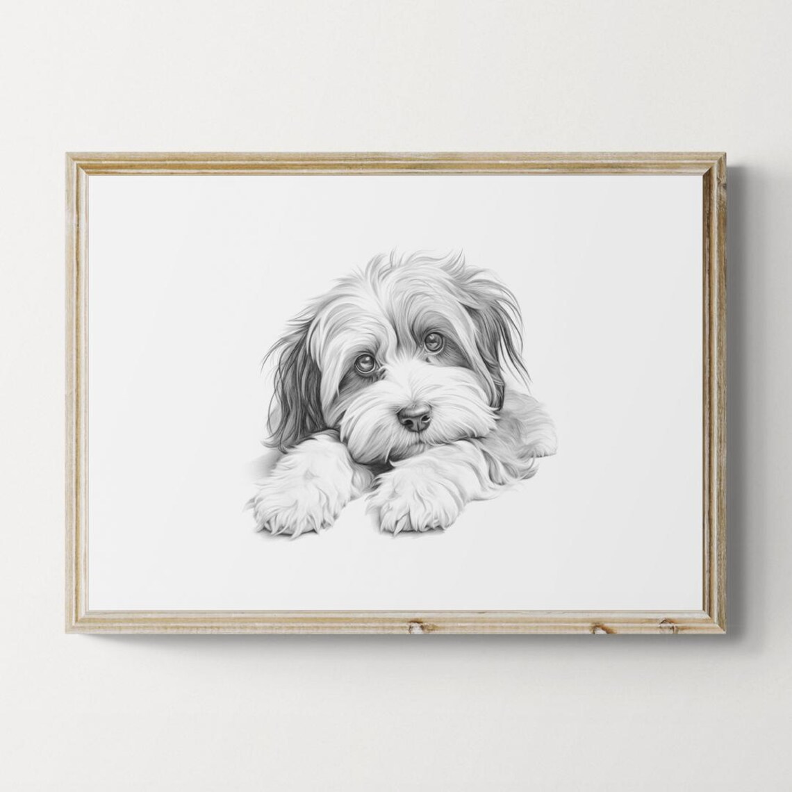 Havanese Puppy Pencil Sketch Fluffy Adorable Sweet Cute Dog Print
