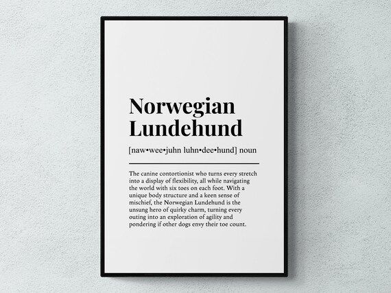 Norwegian Lundehund Funny Definition Dog Wall Art Print