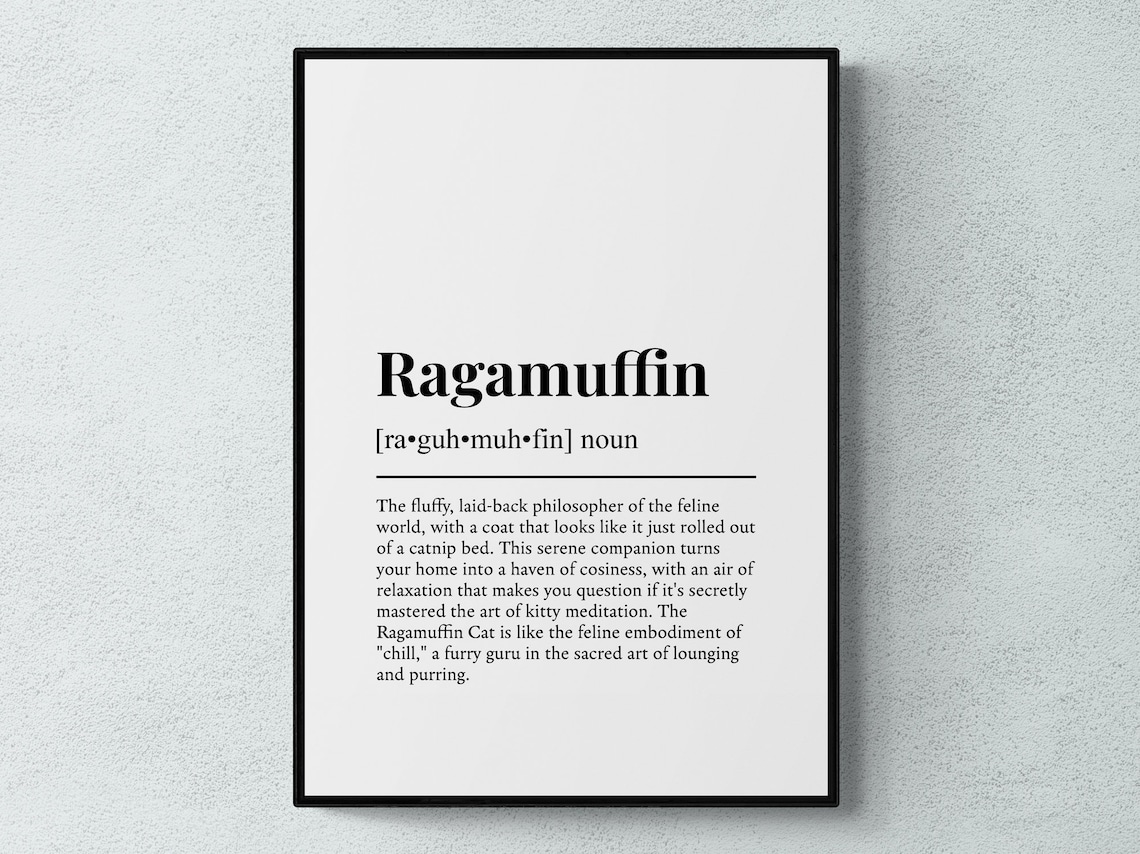Ragamuffin Cat Funny Definition Breed Print Feline Lover Gift Wall Art Poster