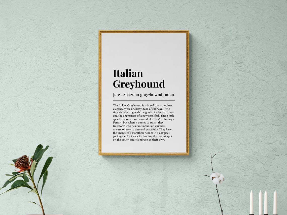 Italian Greyhound Funny Dictionary Definition Black White Dog Poster - Image 2