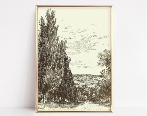 Neutral Vintage Wall Art Antique Nature Print Rustic Farmhouse Wall Decor Cottagecore Fall Wall Decor
