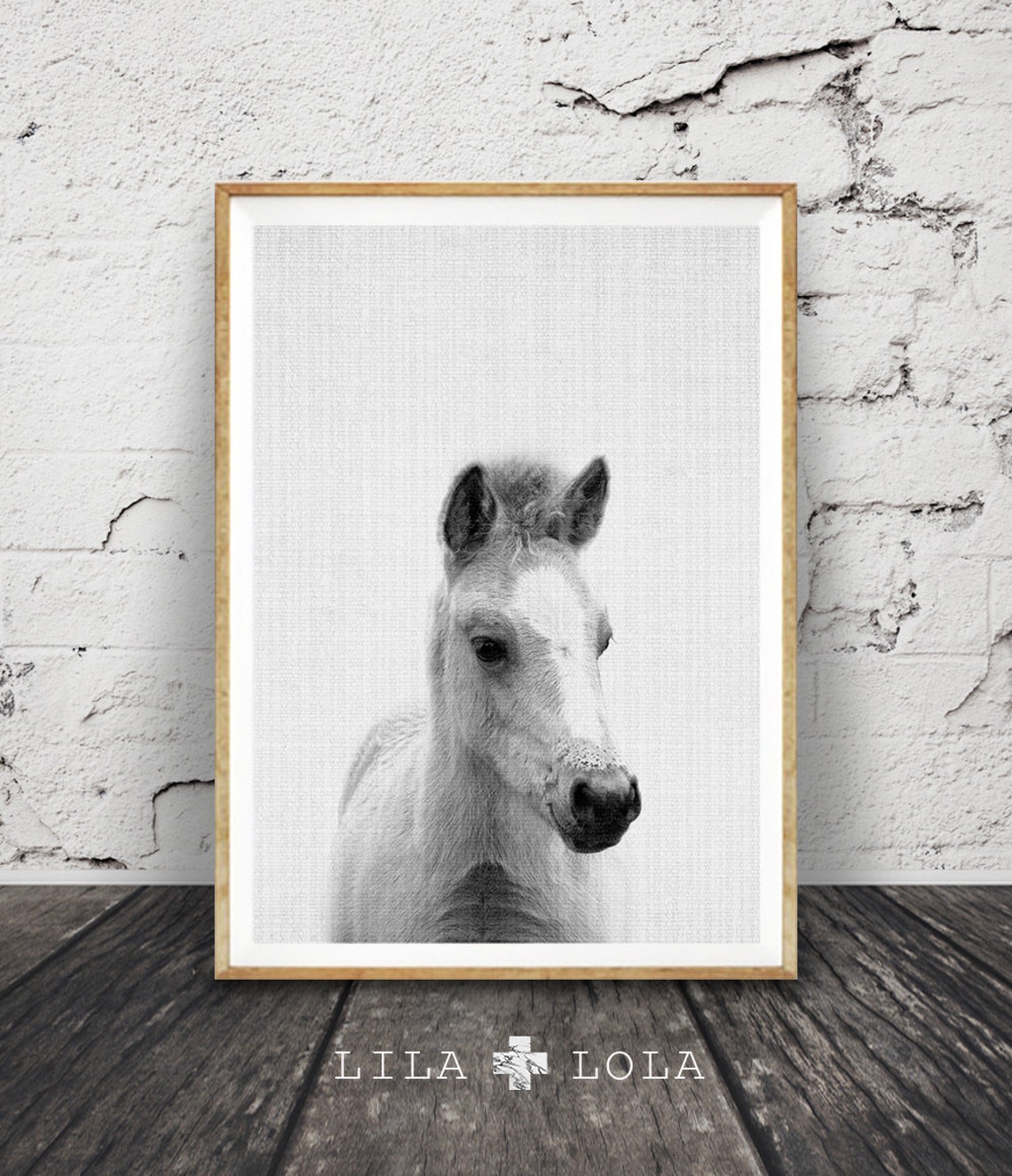 Foal Nursery Print, Black White and Gray Horse