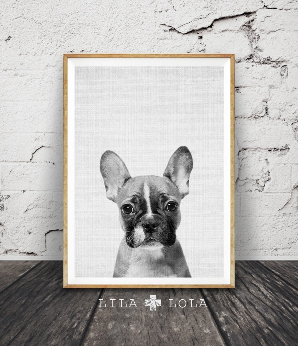 French Bulldog Black and White Dog Photo Art Print