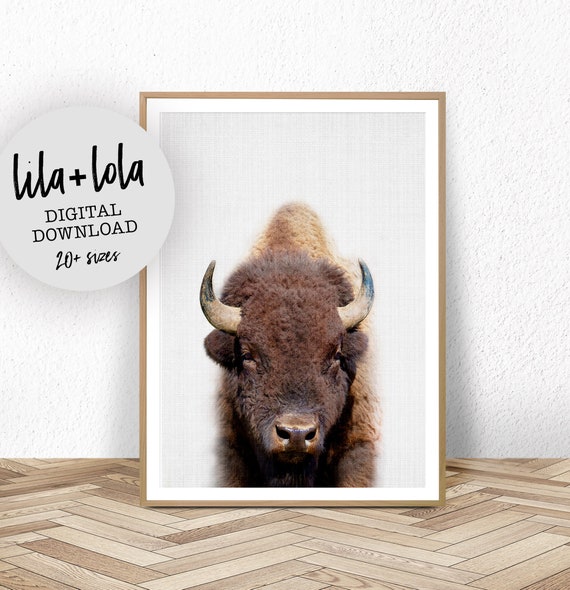 Buffalo Minimalist Bison Poster, Nursery Decor