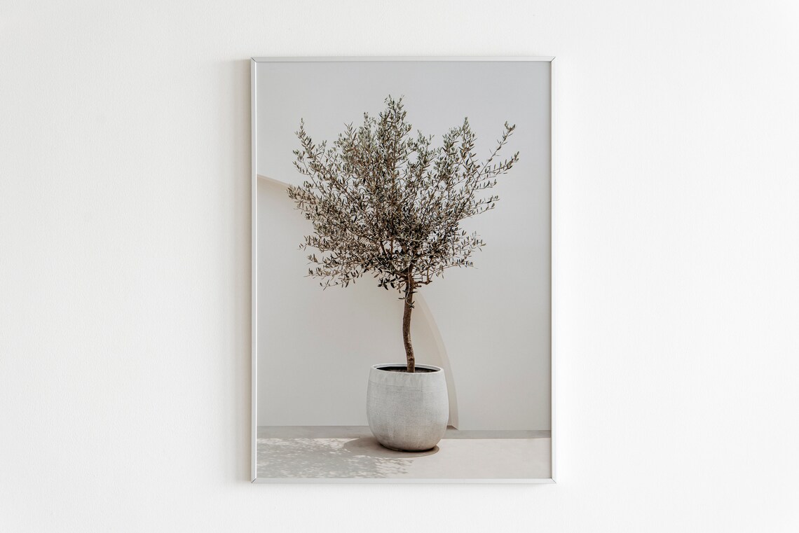 Olive Tree Greece and Italy Mediterranean Travel Poster - Image 2