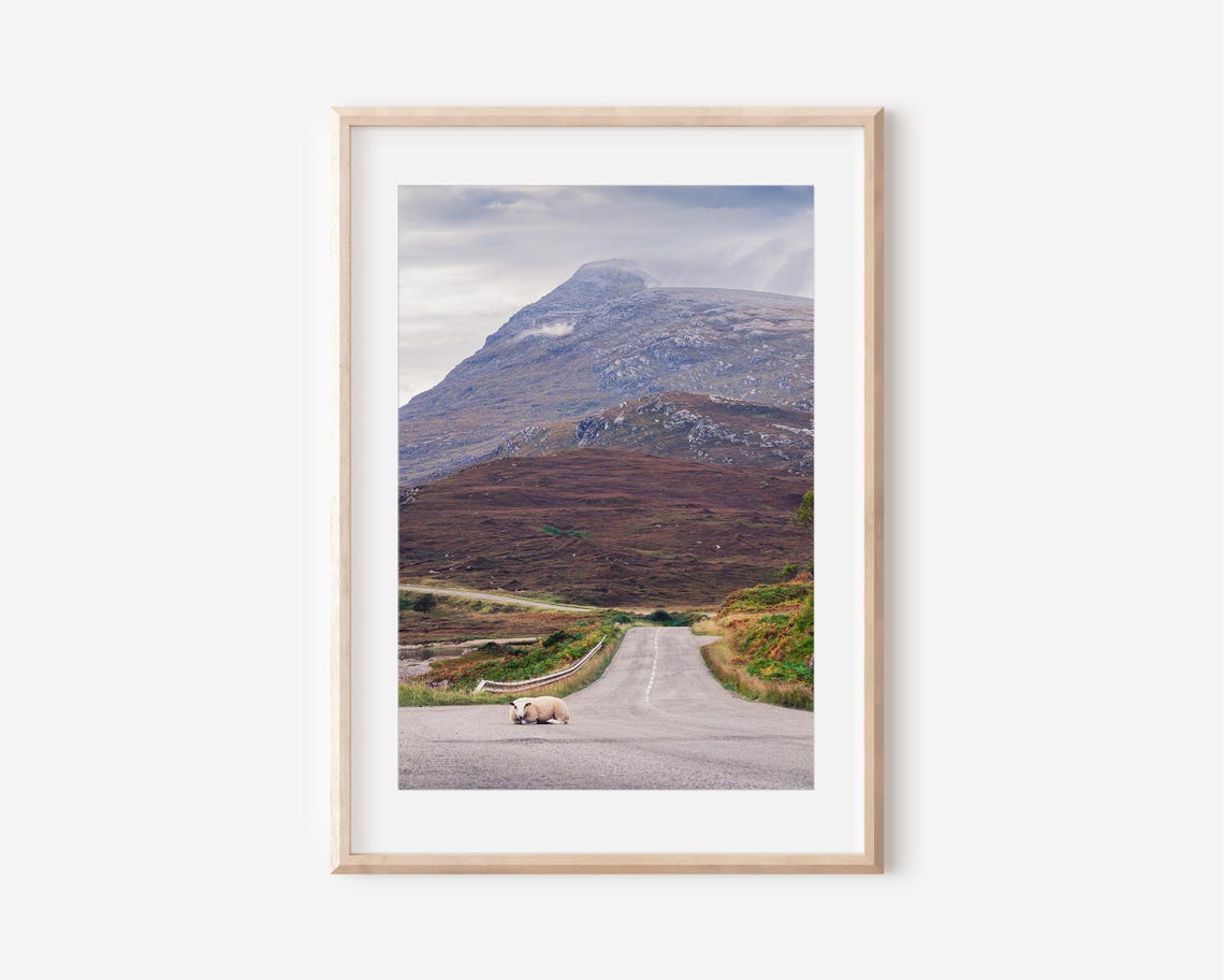 Scottish Highlands Mountain Road Sheep Scottish Landscape Photo Poster