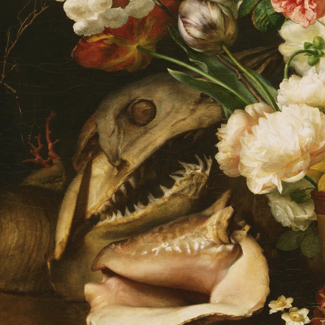 Still Life with Flowers by Antoine Berjon Roses and Conch Shell Poster - Image 2