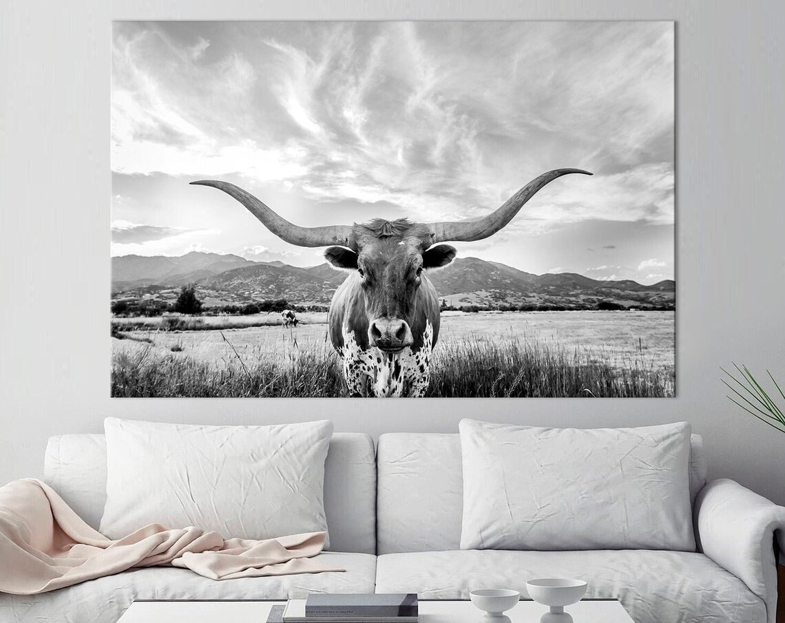Black White Texas Longhorn Cow Portrait Wide Horns Farm Photo Poster