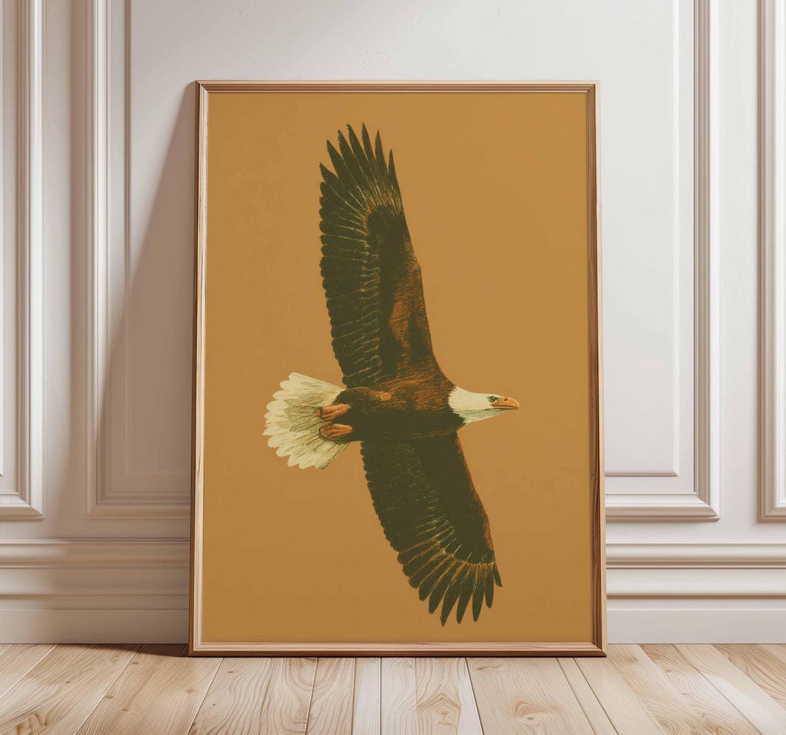 Bald Eagle Soaring Vintage Wildlife Bird Illustration Art Poster