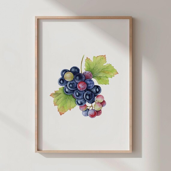 Watercolor Dark Grapes Cluster Vineyard Botanical Kitchen Wall Art