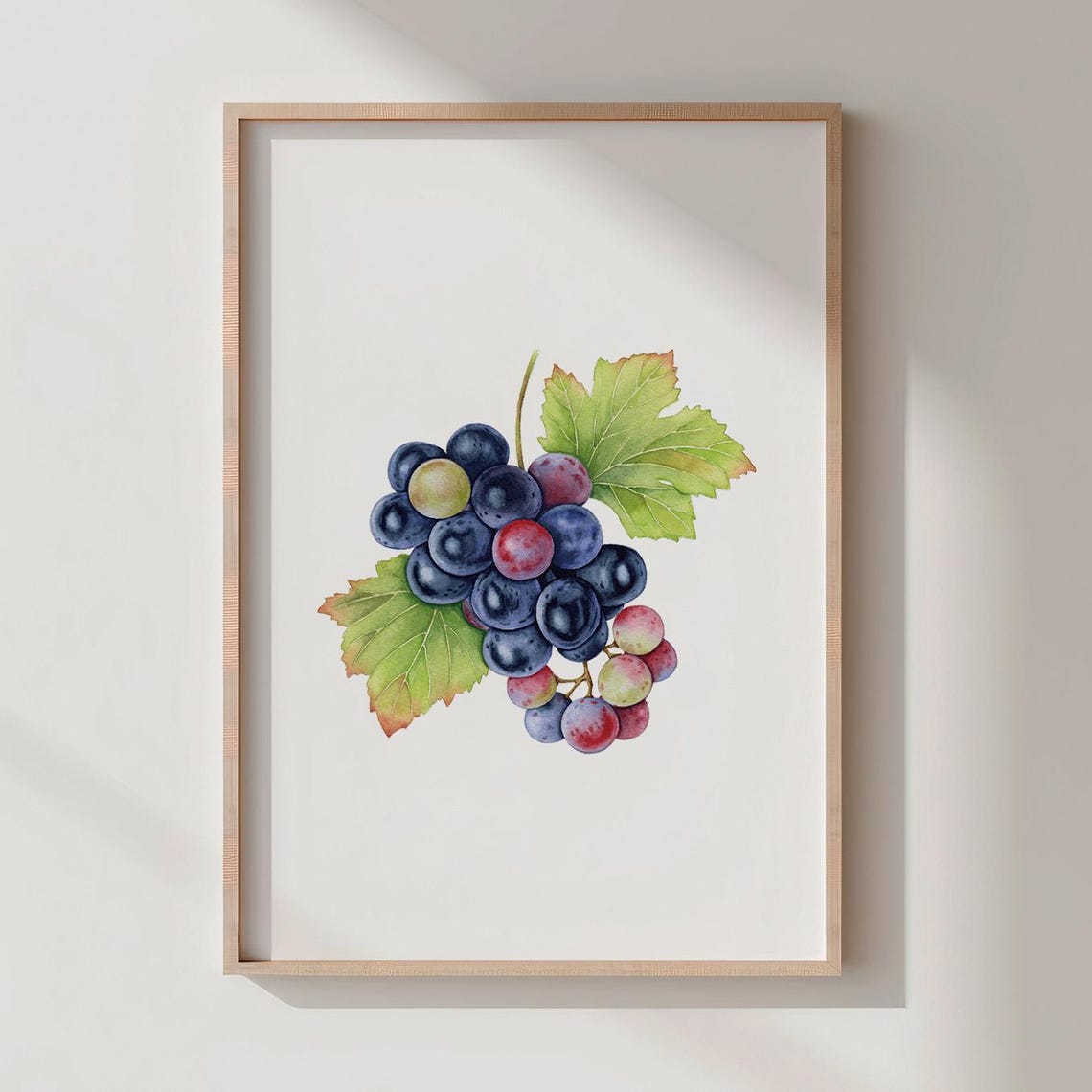 Watercolor Dark Grapes Cluster Vineyard Botanical Kitchen Wall Art