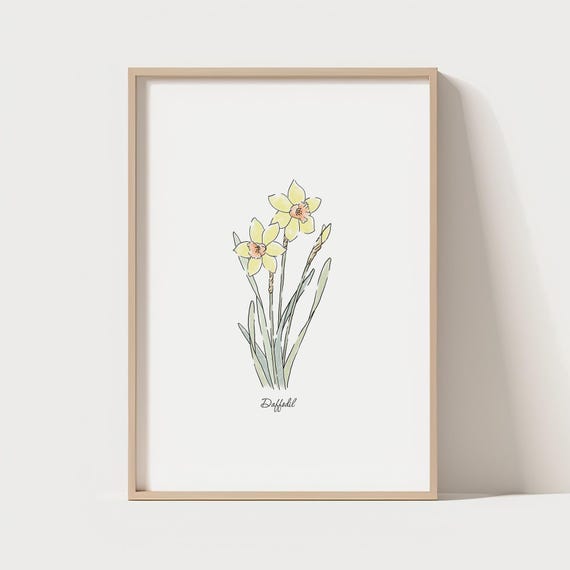 Yellow Daffodil Flower Print Botanical Illustration Minimalist Home Decor