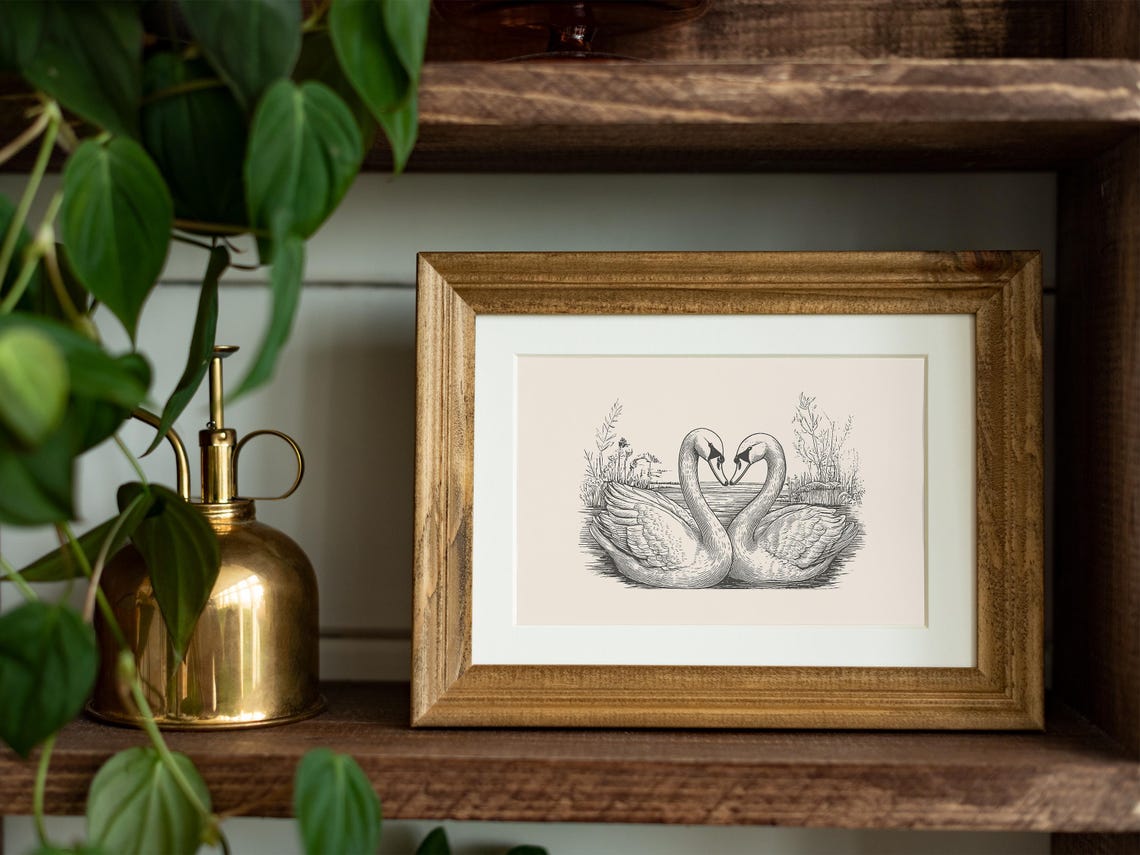 Two Swans Facing Heart Formation Vintage Engraving Love Art Poster - Image 4