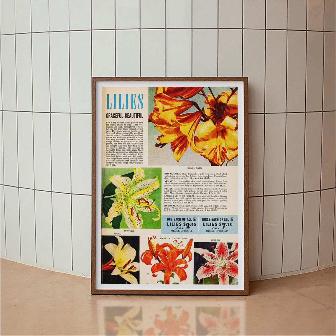 Lilies Graceful Beautiful Vintage Seed Catalog Flower Varieties Poster