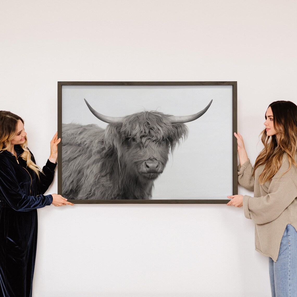Highland Cow Portrait Shaggy Long Horn Cattle Farmhouse Photo Poster