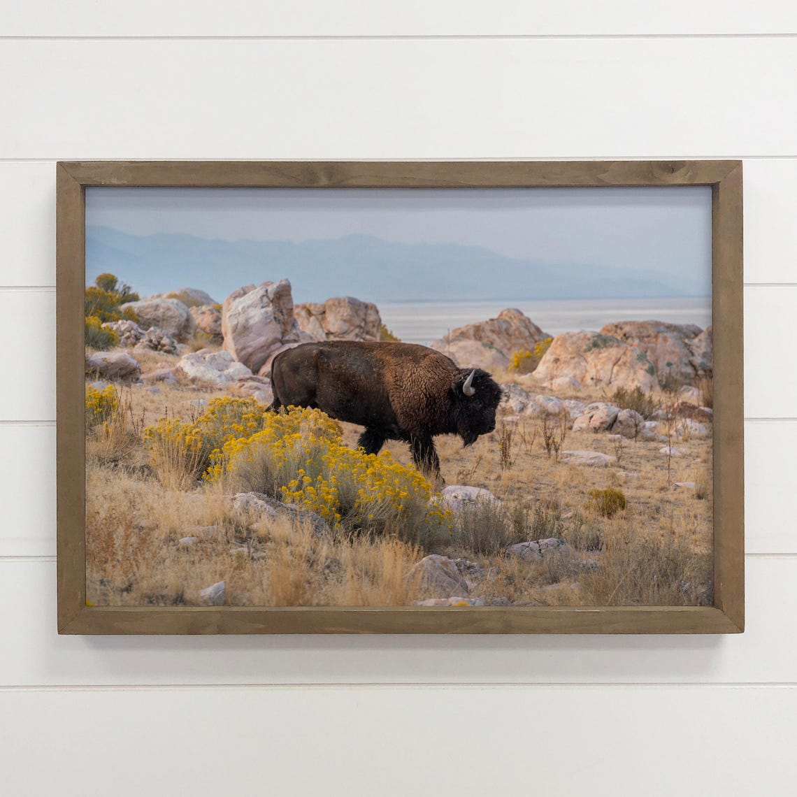 Bison Canvas Poster Framed Traversing Wildlife Photograph Wood Decor