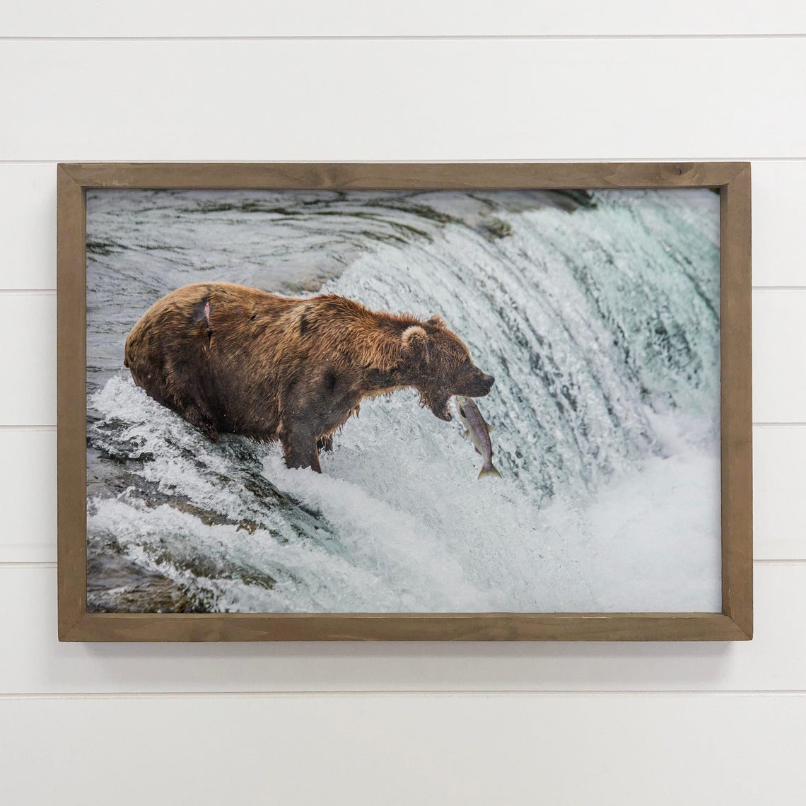 Bear Canvas Wall Art Catching Salmon Wildlife Photography Wood Framed