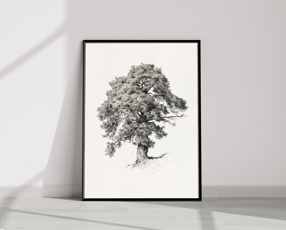 Vintage Tree Sketch Neutral Tree Drawing Vintage Tree Landscape Scenery Print Pencil Drawing - Image 2