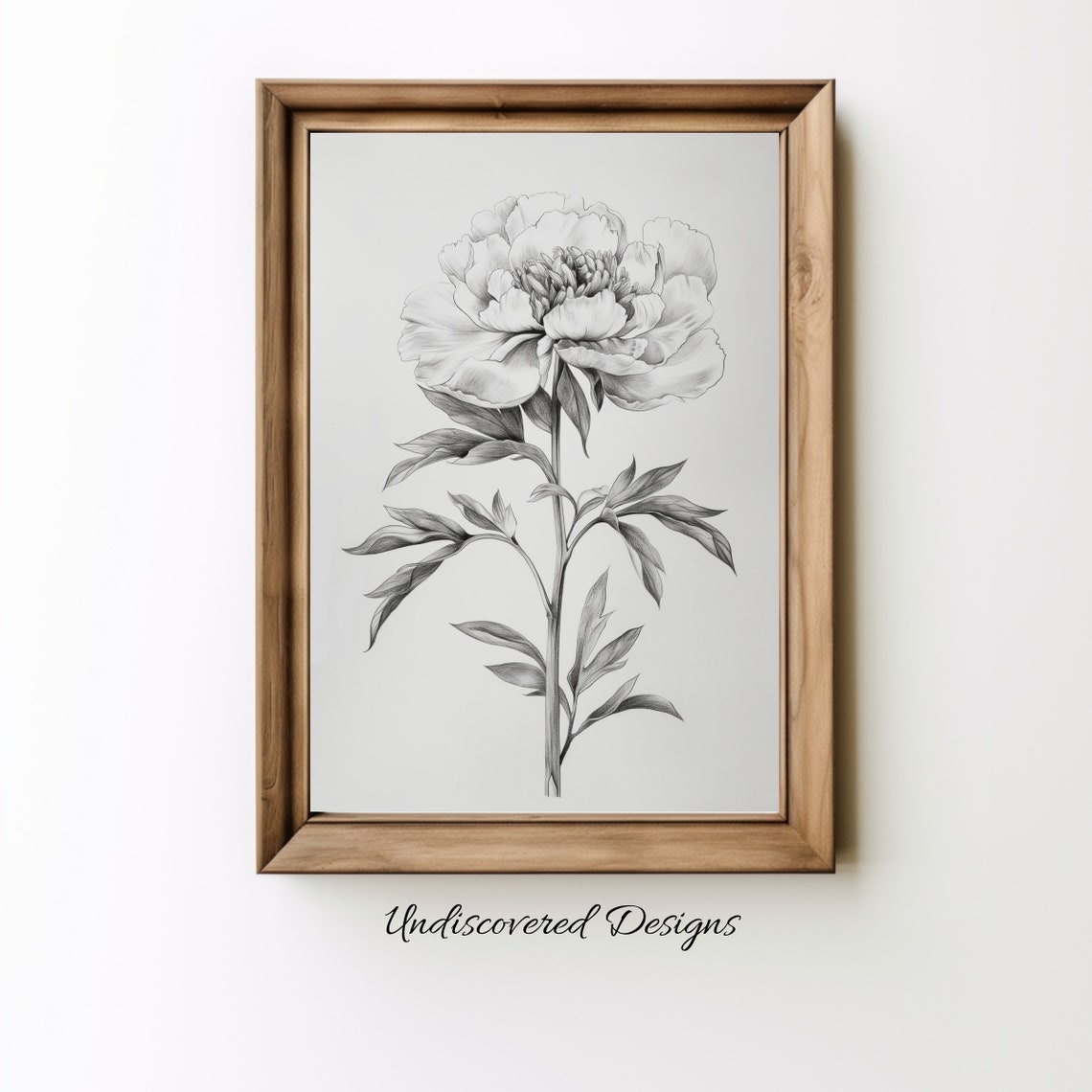 Peony Botanical Sketch Art Print Vintage Floral Wall