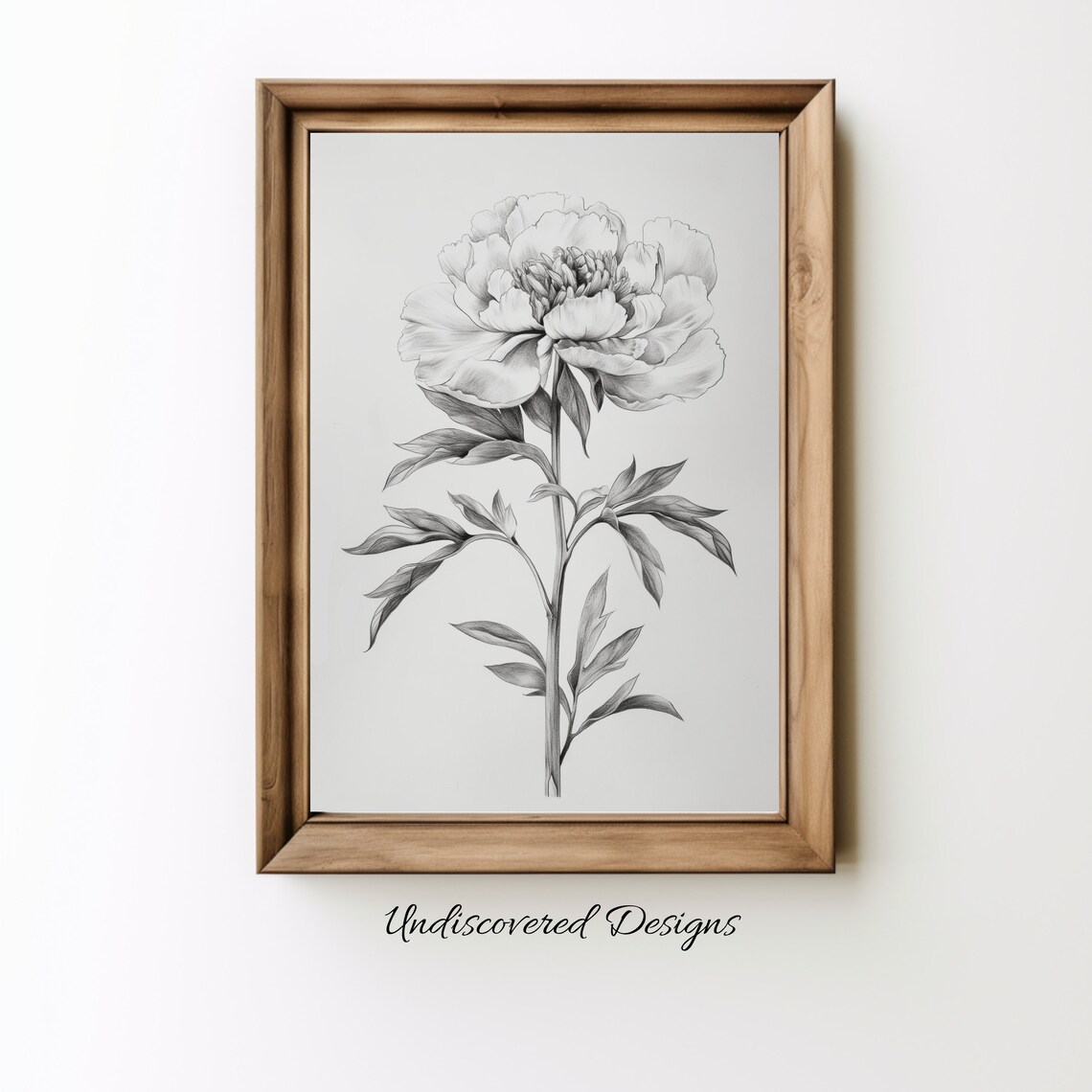 Peony Botanical Sketch Black And White Vintage Flower Art Print