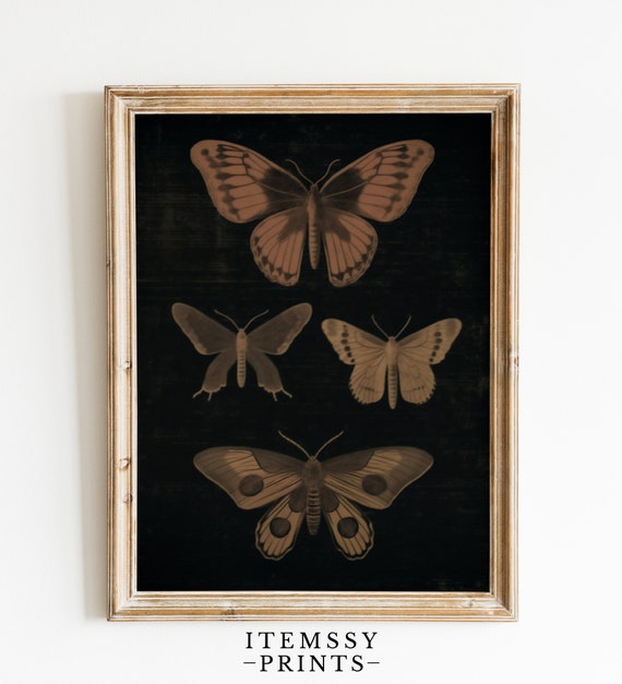Vintage Black Butterfly Art Print Dark Butterfly Wall Art Elegant Home Decor Antique Inspired Butterfly Artwork