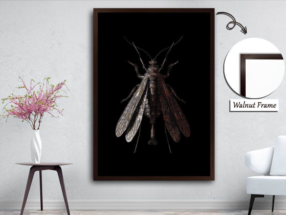 Tiny Wonders Of Nature Multi Winged Insect Portrait - Image 3