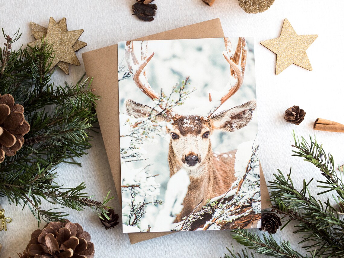 Majestic Stag in Snowy Winter Forest Close-Up Wildlife Art Poster - Image 2