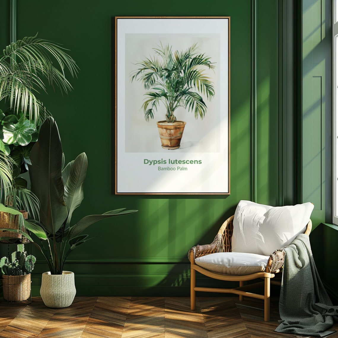 Dypsis Lutescens Bamboo Palm Potted Fronds Watercolor Poster Art
