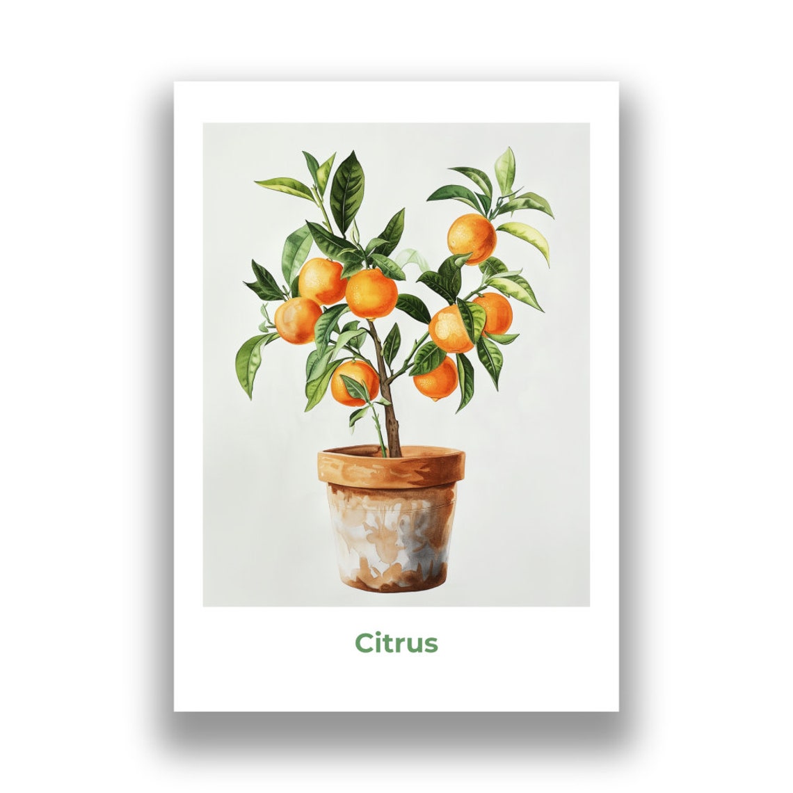 Citrus Orange Tree Potted Fruit Watercolor Botanical Art Poster - Image 2
