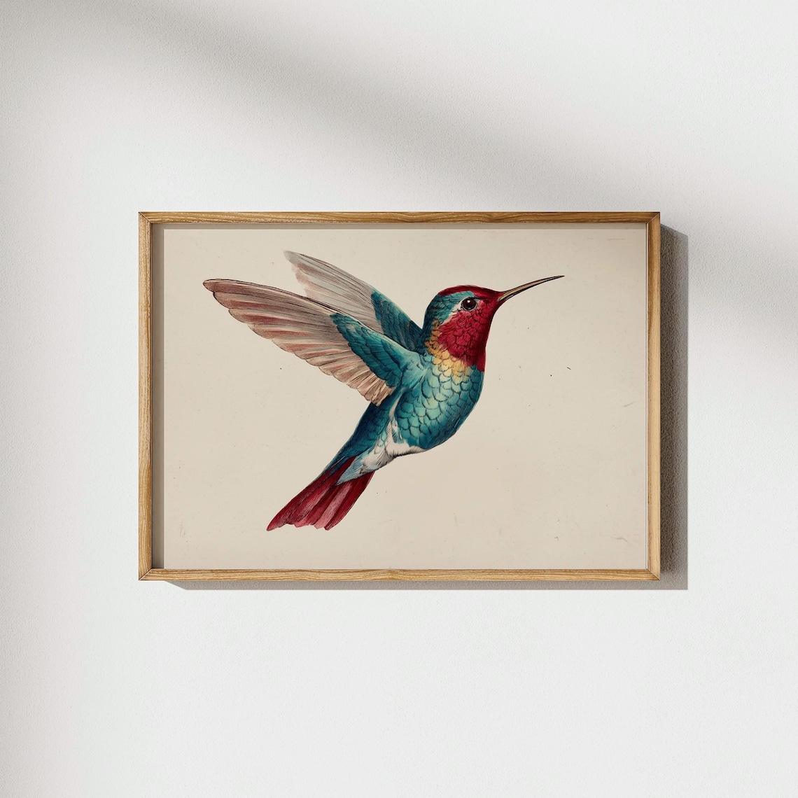 Ruby Throated Hummingbird Vintage Naturalist Wildlife Art Poster