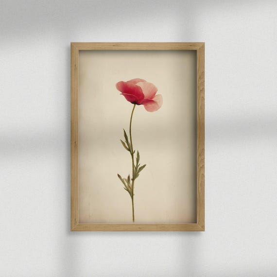 Red Poppy Wall Art Botanical Print Vintage Flower Minimalist Poster Home Decor Spring Floral Prints