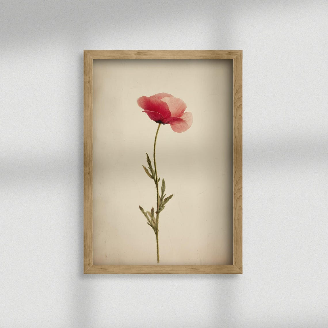 Red Poppy Single Stem Minimalist Vintage Botanical Flower Print