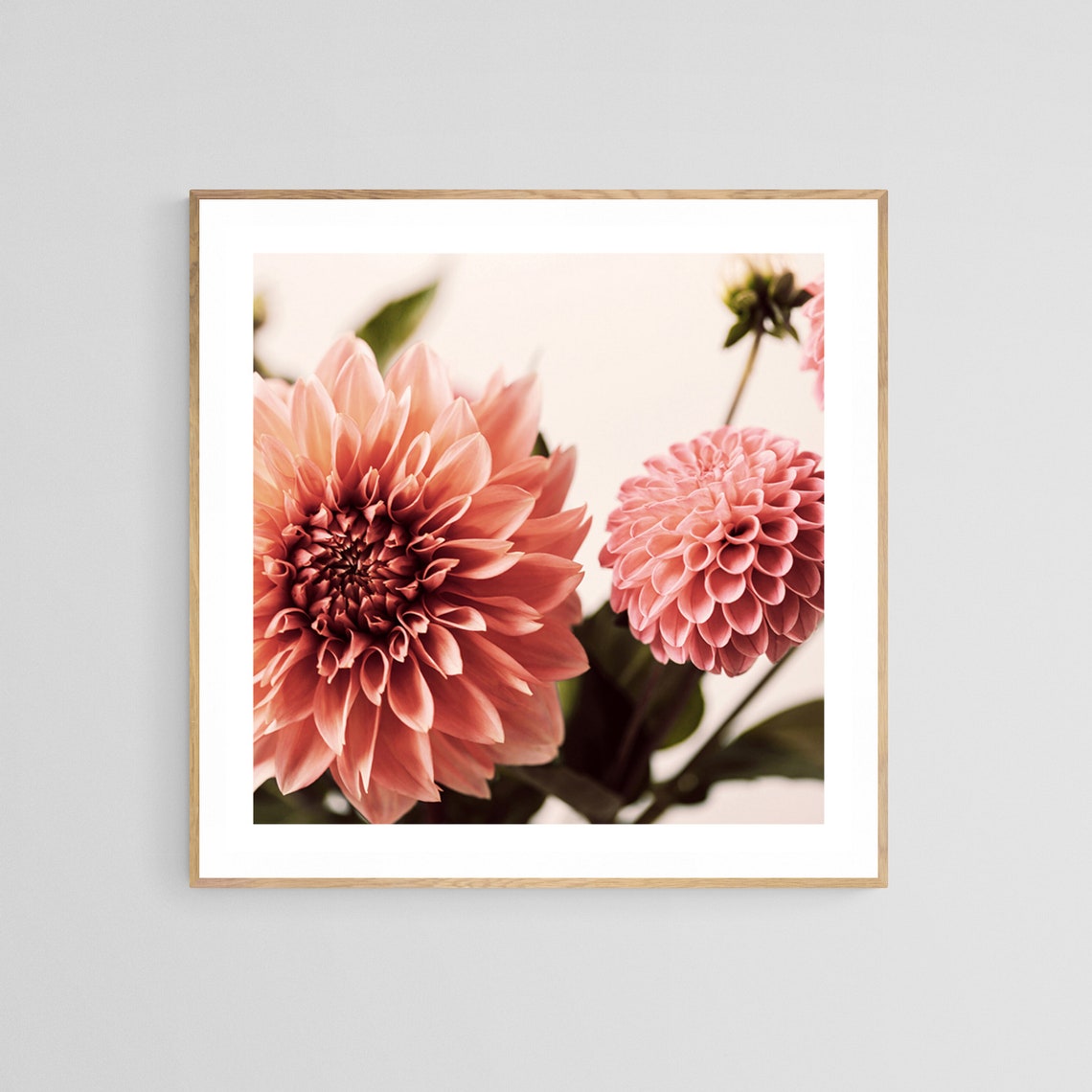 Dahlia Bouquet Botanical Flower Photograph
