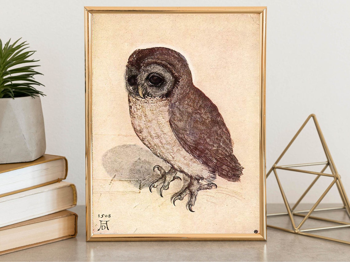 Albrecht Durer Little Owl 1508 Drawing Renaissance Vintage Print - Image 6