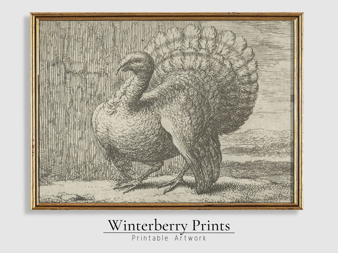 Vintage Thanksgiving Turkey Sketch Art Print - Image 5