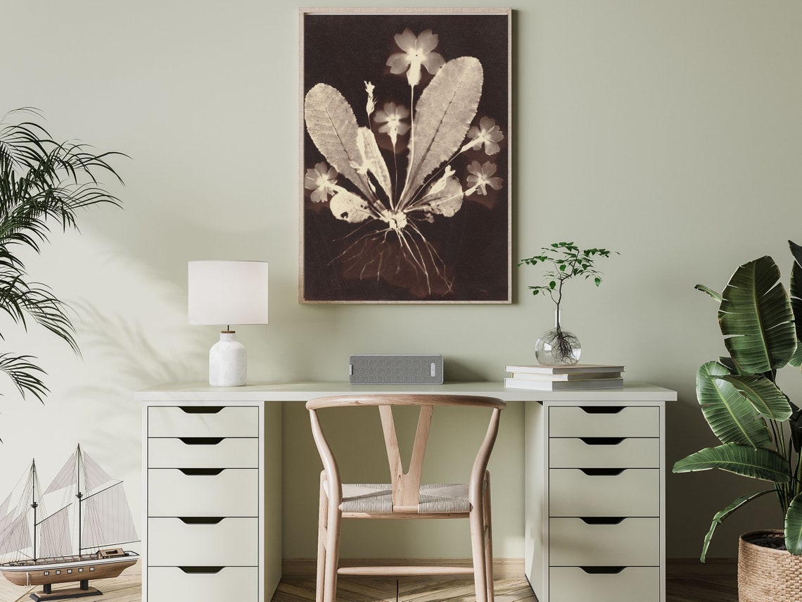 Haunting Botanical Photogram Sepia Wildflowers Roots Nature Wall Art - Image 3