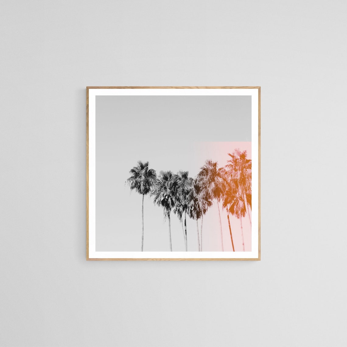 Palm Tree Photograph, Tropical Art Print