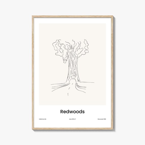 Redwoods Drive Through Tree One Line Minimalist California Travel Poster