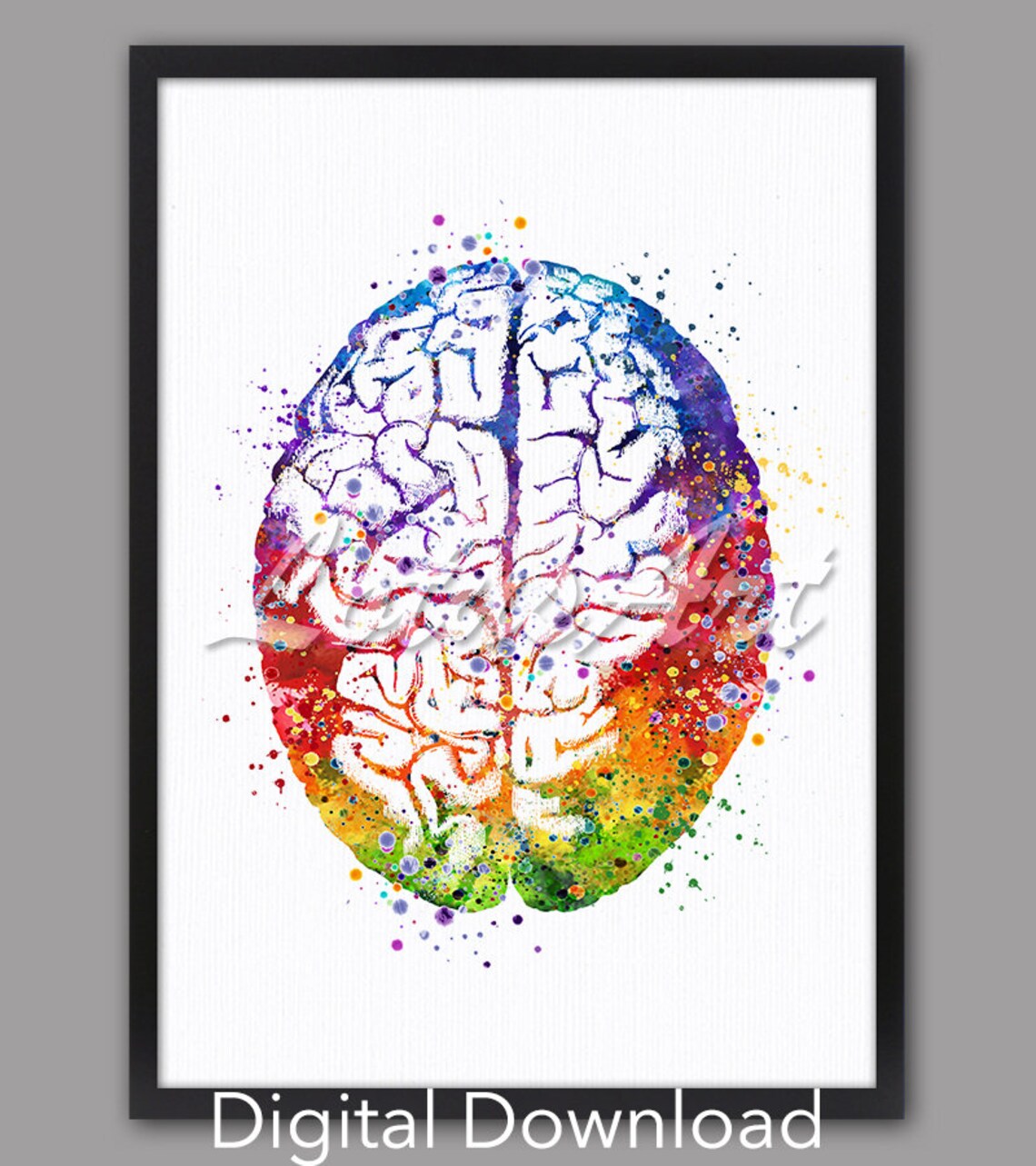 Brain Anatomy Watercolor Science Art Print