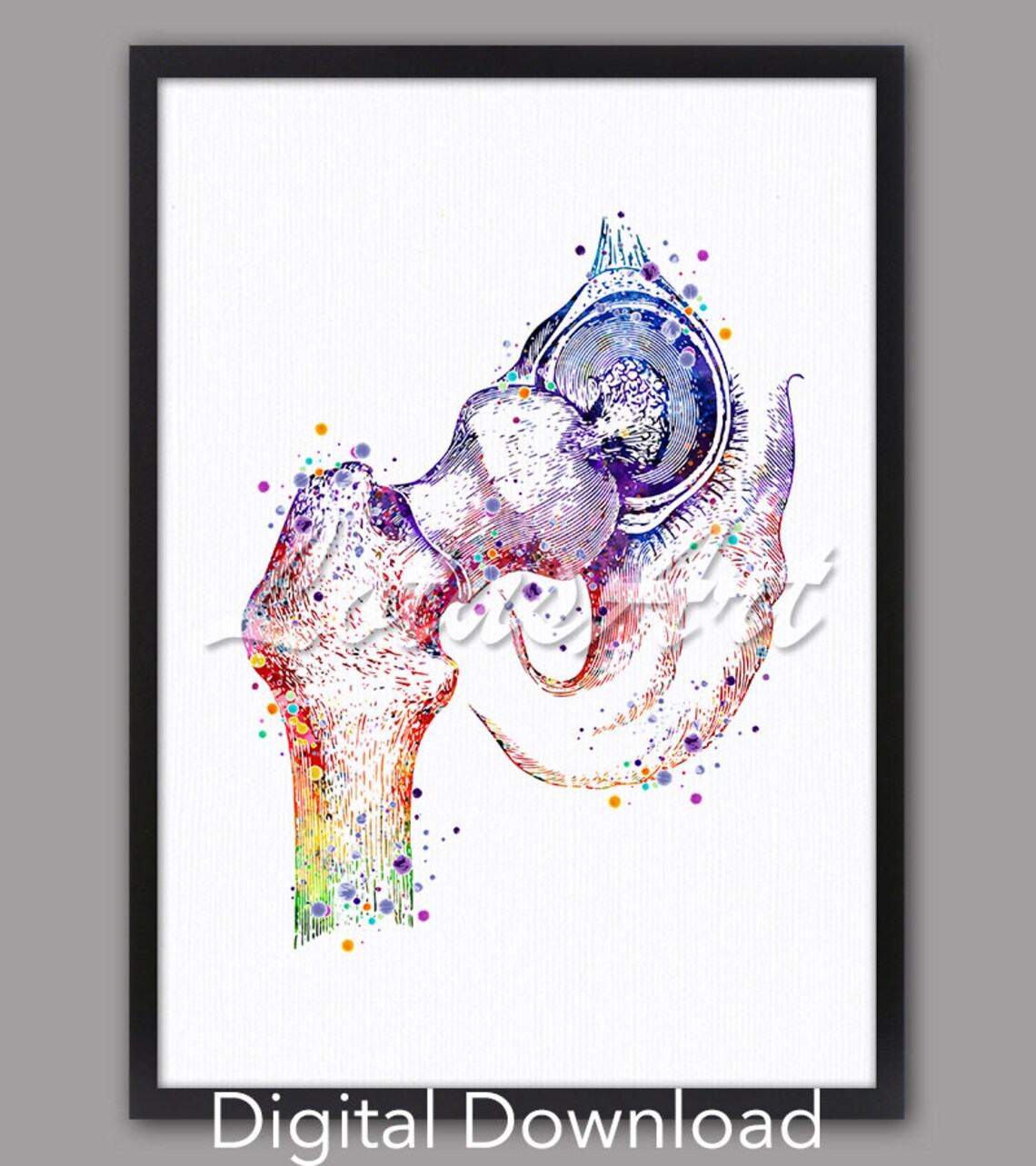 Hip Joint Watercolor Bones Anatomy Art Print