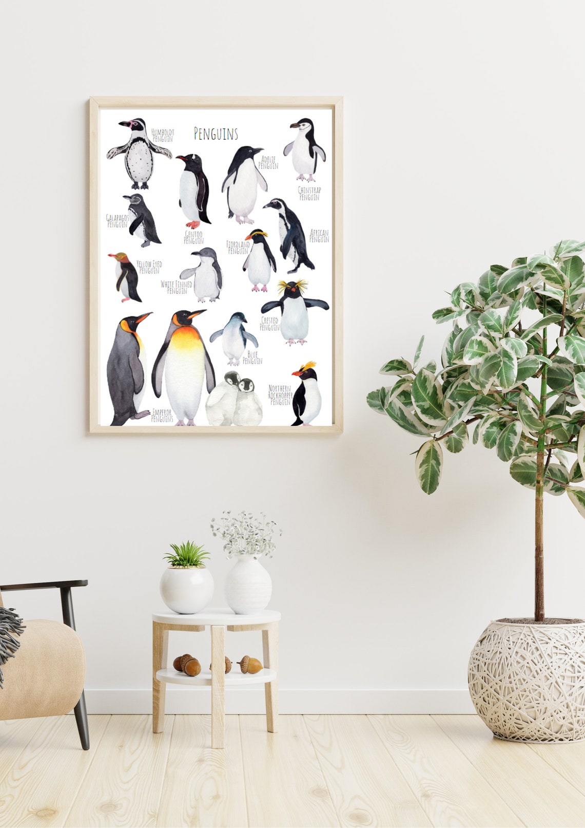 Watercolor Penguin Species Chart Adelie Gentoo Chinstrap Art Poster - Image 6