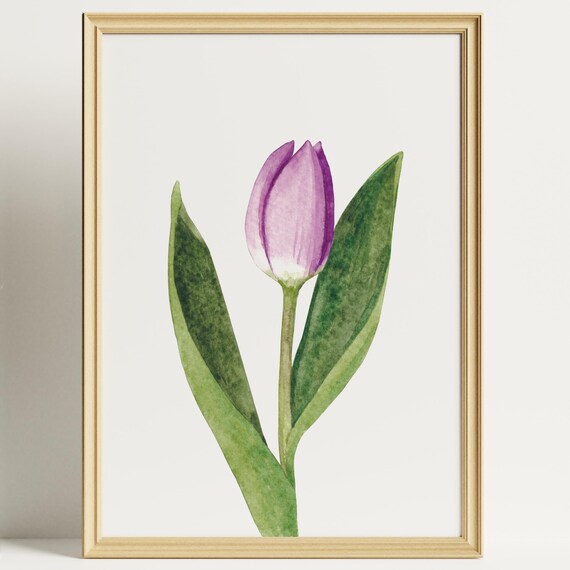 Watercolour Purple Tulip Botanical Wall Art Floral Minimalist Nature Illustration Instant