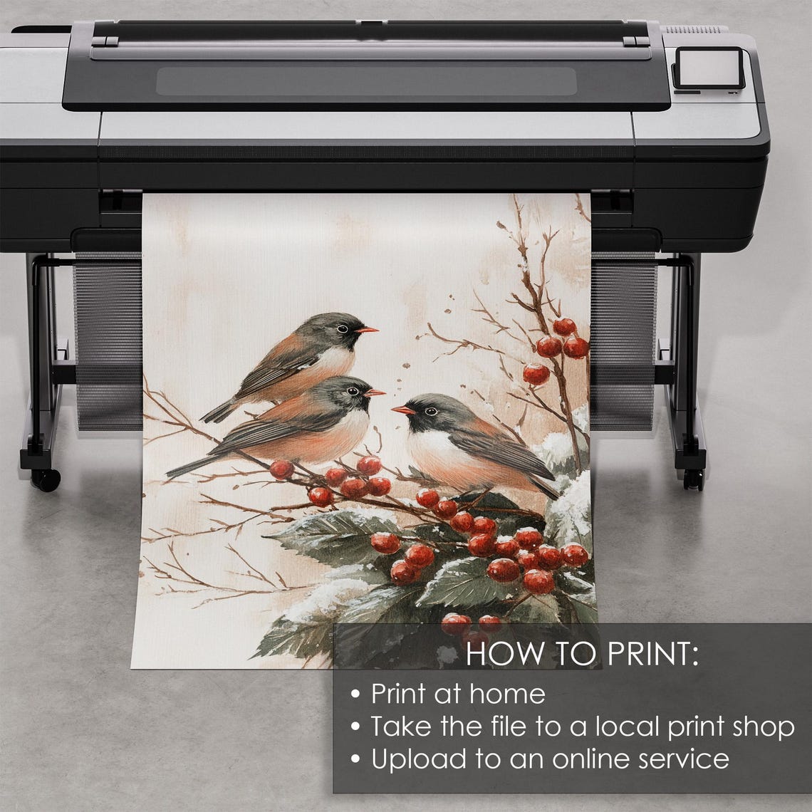 Three Songbirds Berry Branch Vintage Winter Botanical Bird Poster - Image 5